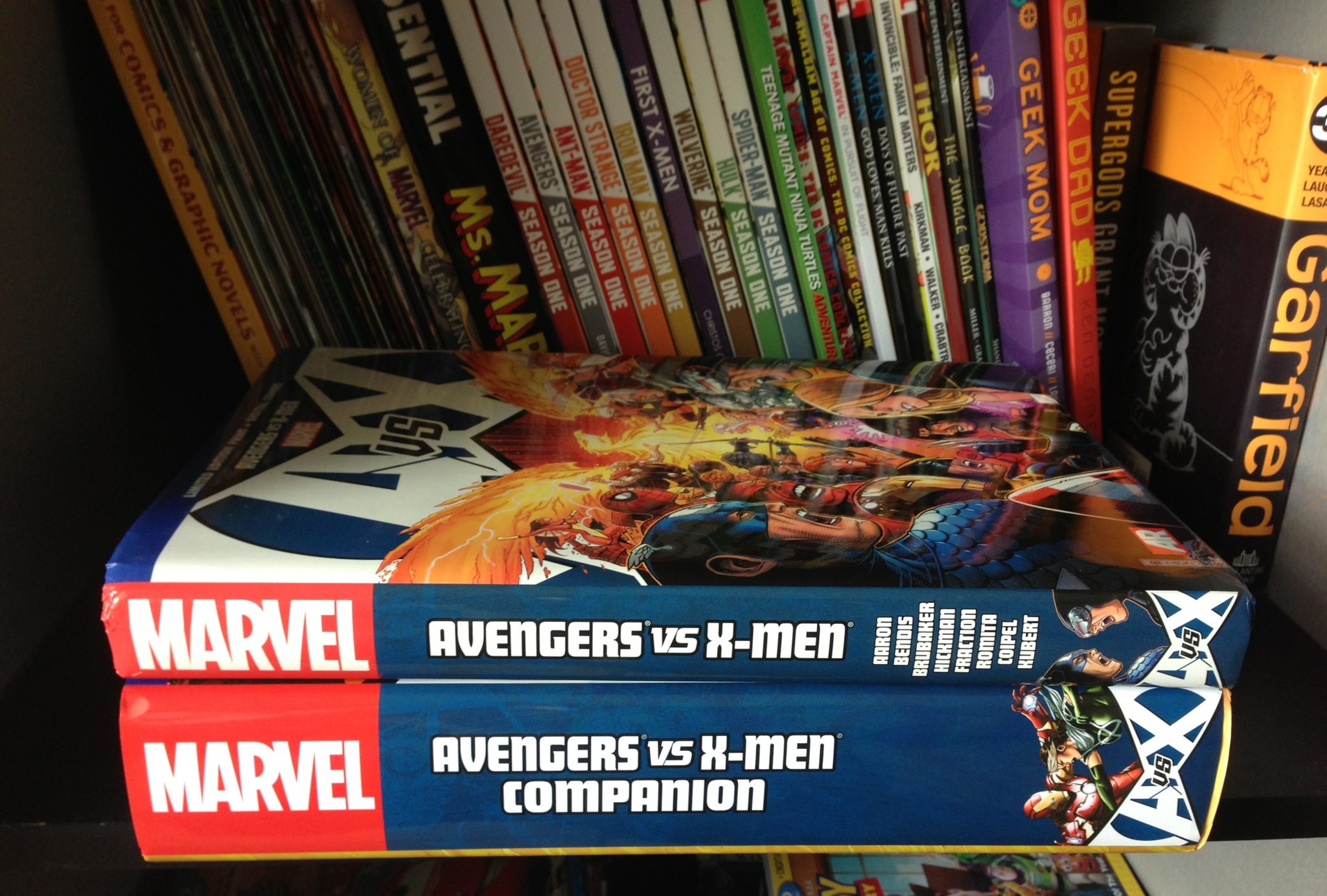 Avengers vs. X-Men Companion  Image: Dakster Sullivan