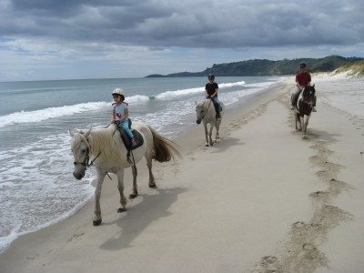 Horse Trekking on Pakiri Beach - In Search of Smaug's Lair ...
