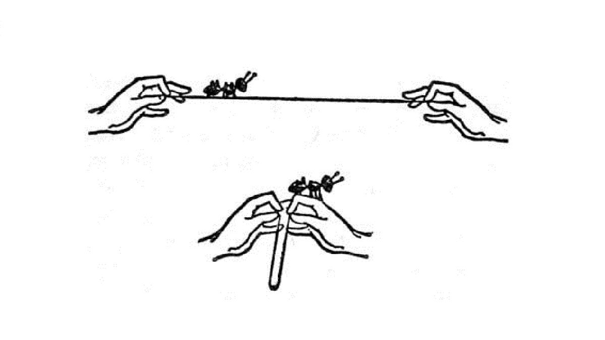 Illustration from A Wrinkle In Time, hands holding an outstretched string with an ant on one end, then hands folding the string together, so the ant is now perched on the hands