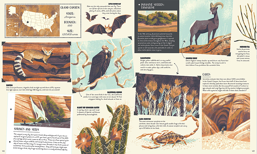A Double-Page Spread Showcasing the Wildlife and Geology of The Grand Canyon, Image: Wide Eyed Editions