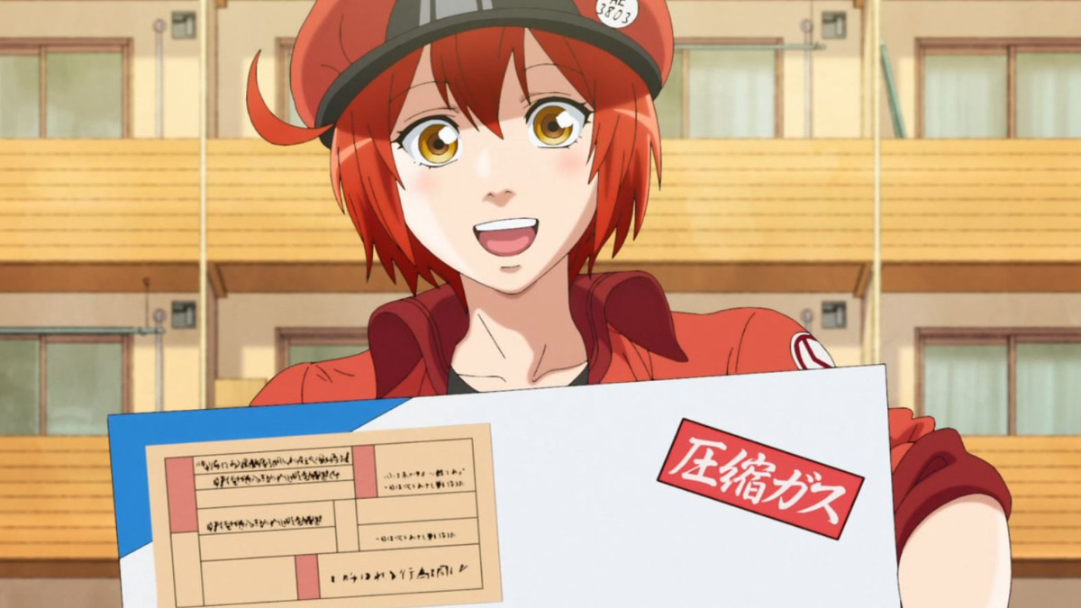 Cells at Work! (Anime Review)