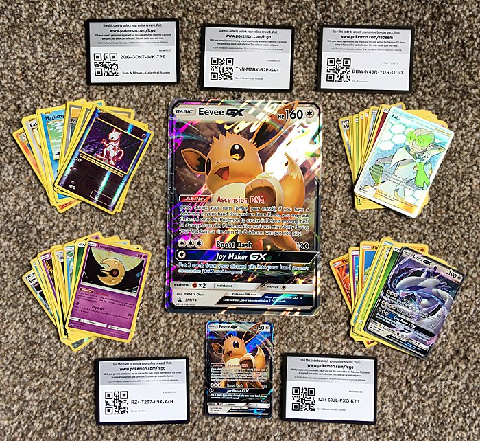 Contents of the Eevee-GX Box, Image: Sophie Brown