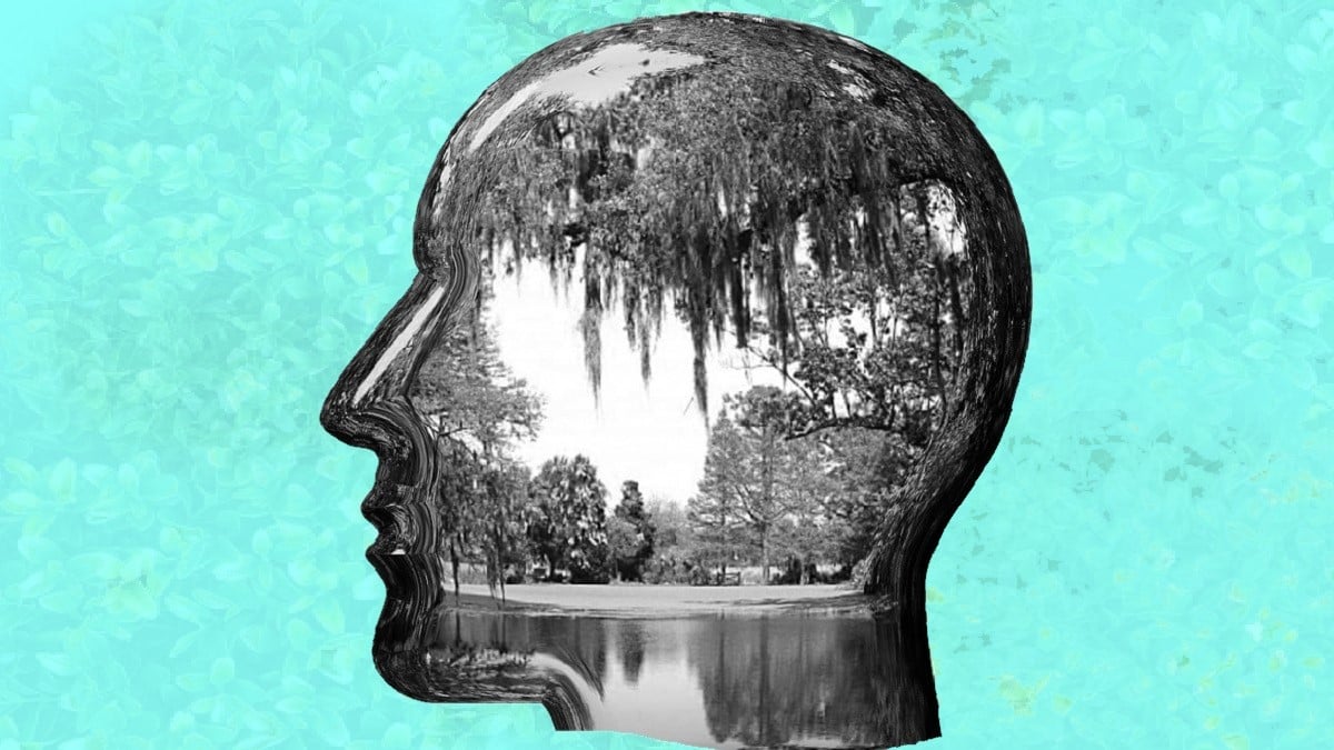 Silhouette of head with a photo of a lake and trees inside it
