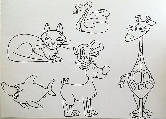 Cartoon Animals Drawings, Image Sophie Brown