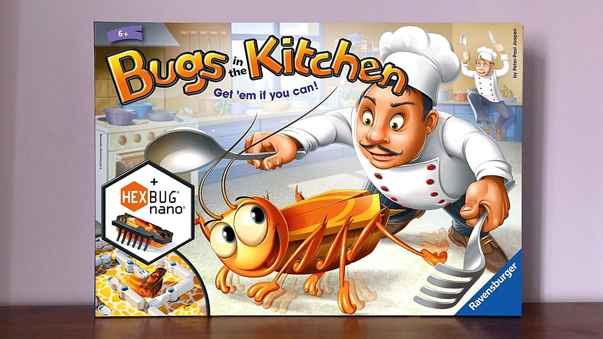 Bugs in the Kitchen, Image Sophie Brown