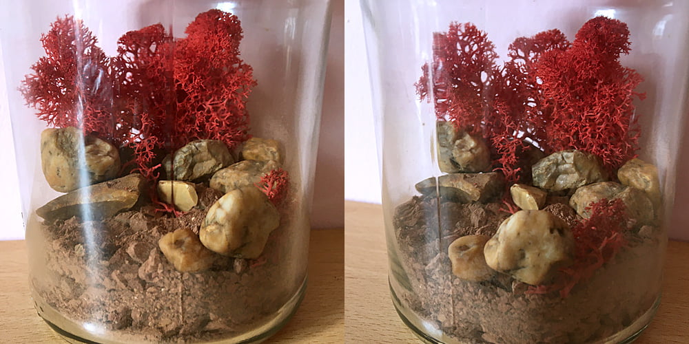 Mars Jar with the Moss Added, Images Sophie Brown
