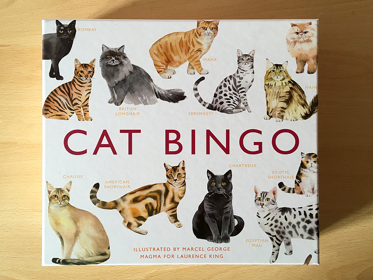 Cat Bingo, Image Sophie Brown