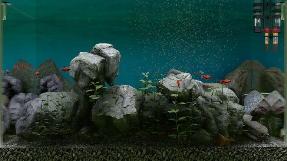 Biotope best game for relaxing