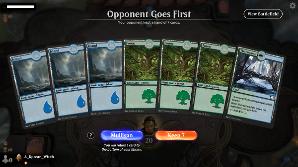 All Land in MtgArena