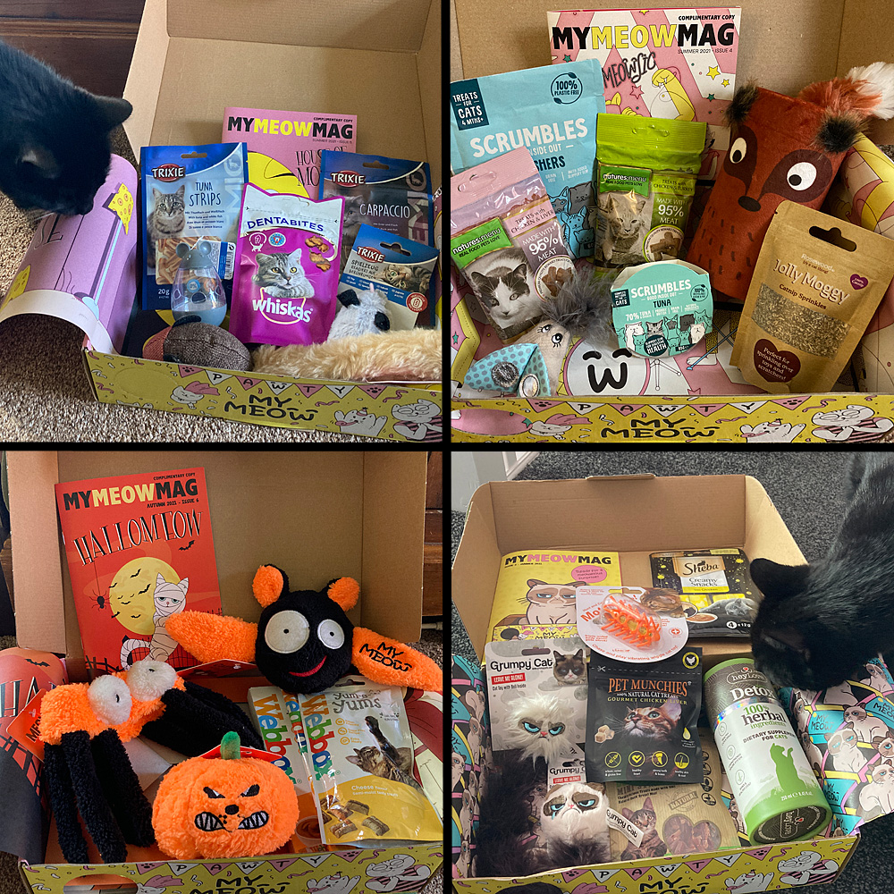 My Meow Box Contents, Images Sophie Brown