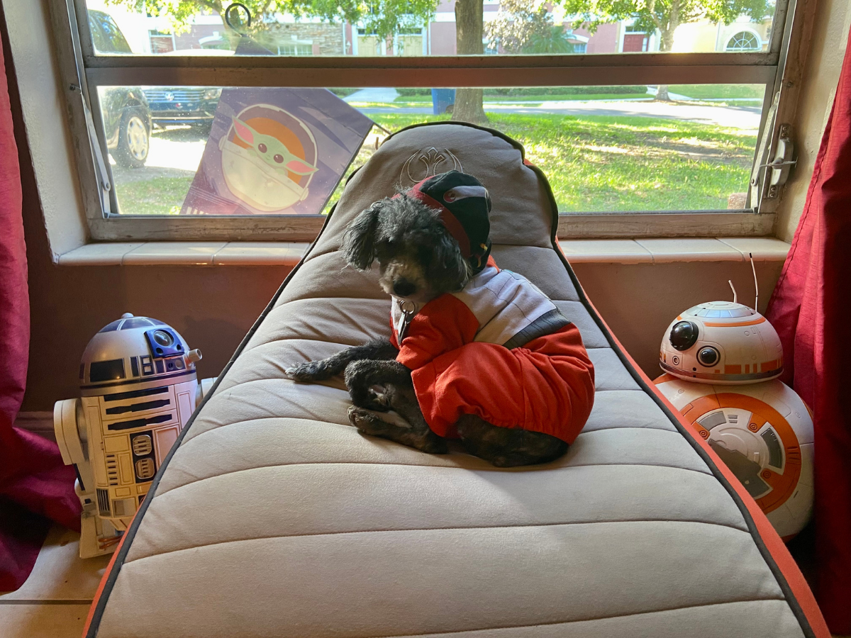 Bakster approves Yogibo Star Wars \ Image: Dakster Sullivan