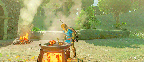 GIF of Link cooking in The Legend of Zelda: Breath of the Wild